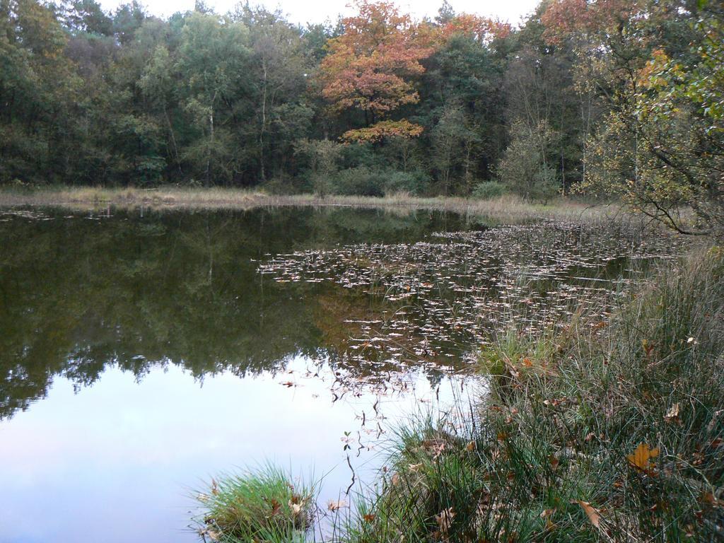 Hoeve Den Anholt Villa Ruinen Bagian luar foto