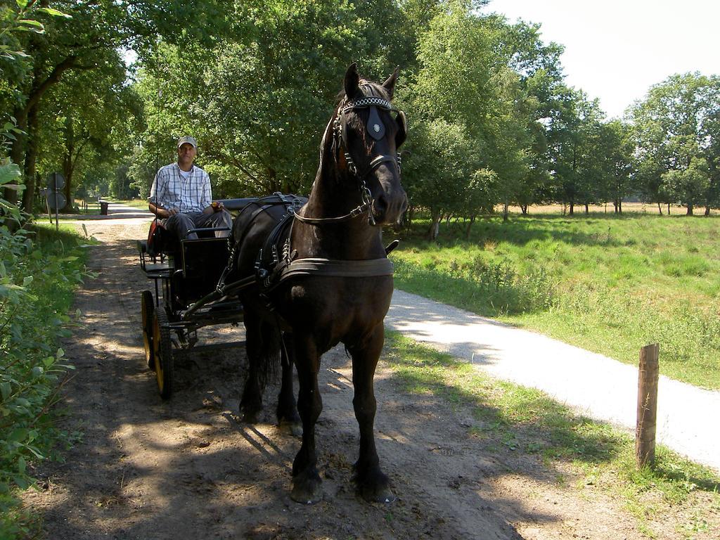 Hoeve Den Anholt Villa Ruinen Bagian luar foto