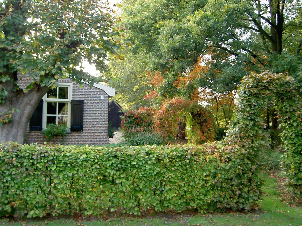 Hoeve Den Anholt Villa Ruinen Bagian luar foto