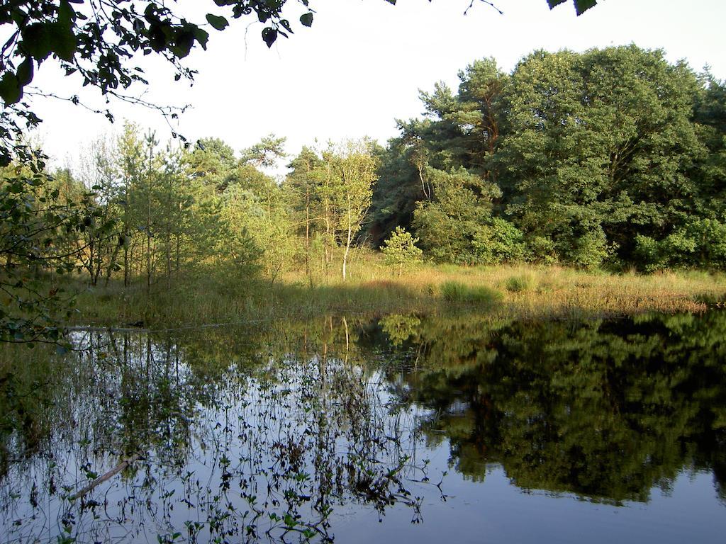 Hoeve Den Anholt Villa Ruinen Bagian luar foto