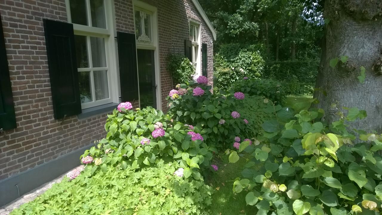 Hoeve Den Anholt Villa Ruinen Bagian luar foto