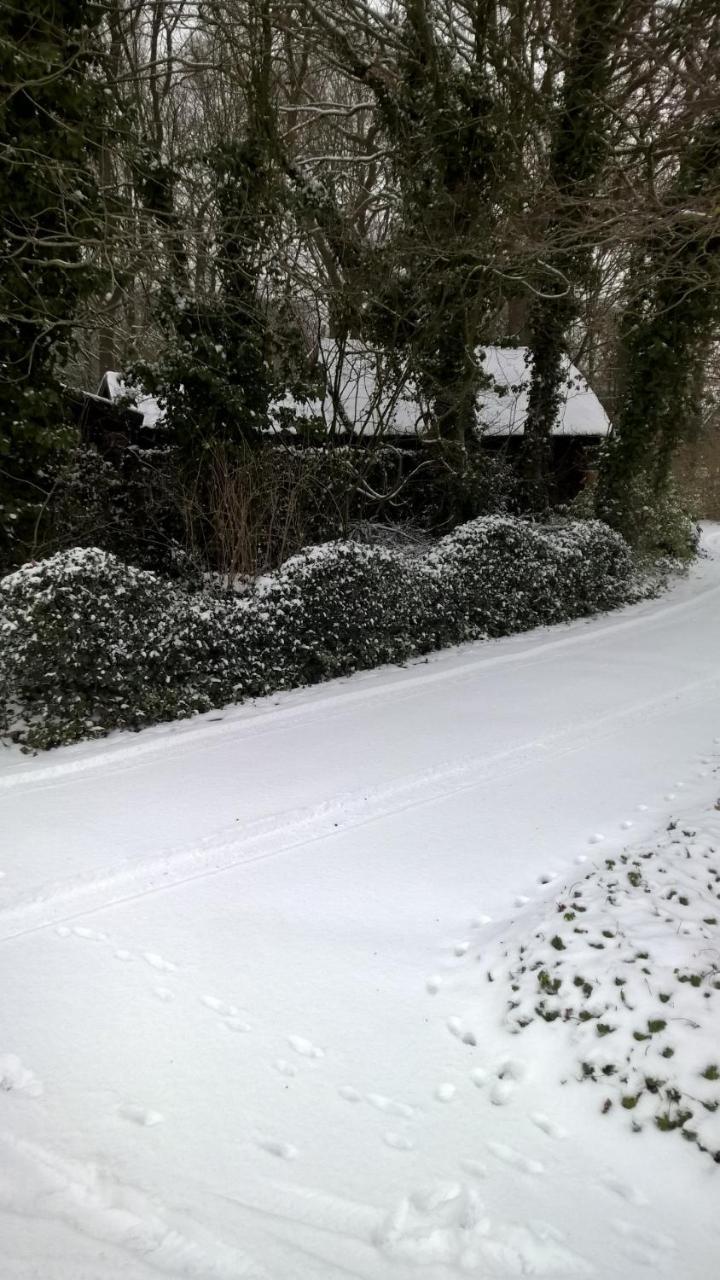 Hoeve Den Anholt Villa Ruinen Bagian luar foto