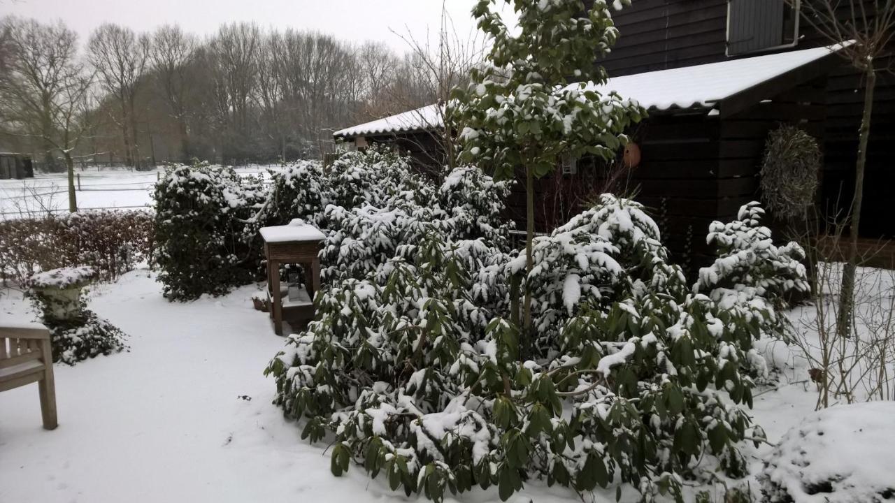 Hoeve Den Anholt Villa Ruinen Bagian luar foto