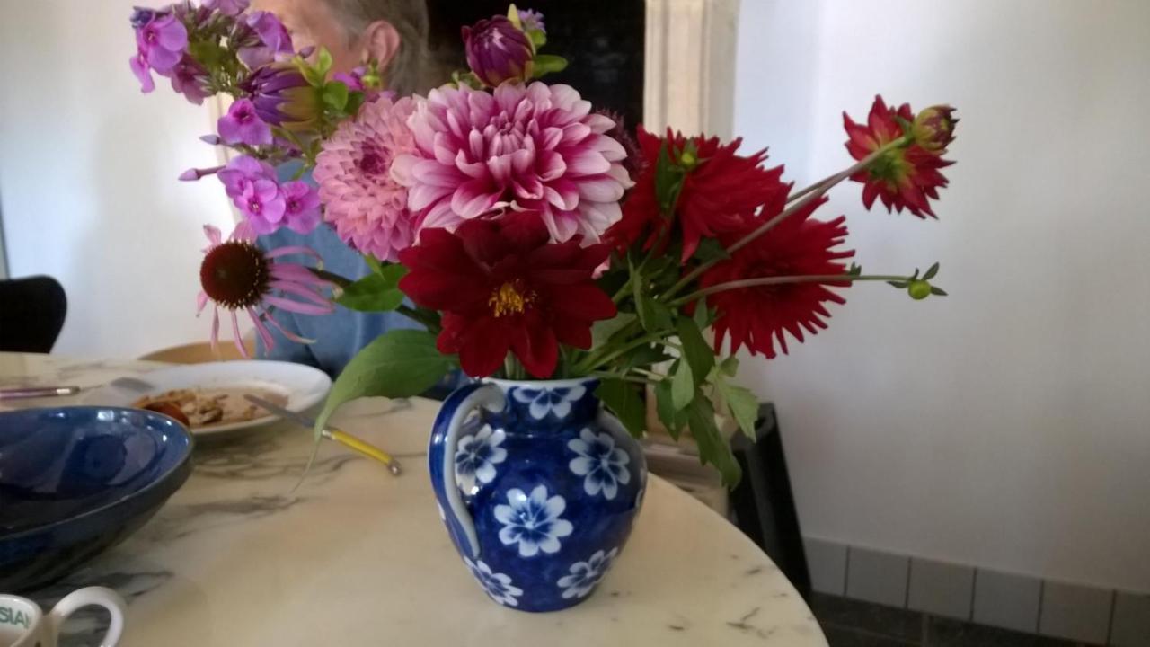Hoeve Den Anholt Villa Ruinen Bagian luar foto
