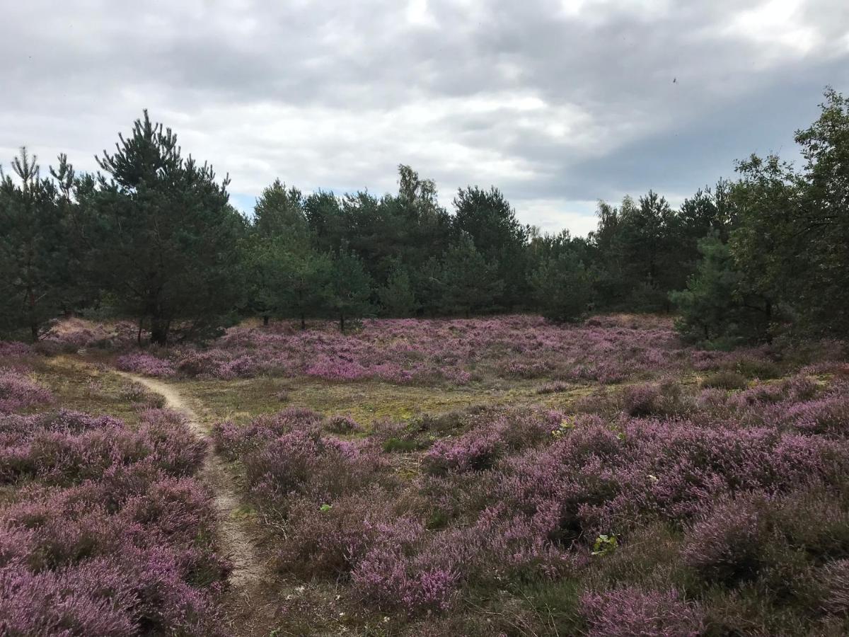 Hoeve Den Anholt Villa Ruinen Bagian luar foto