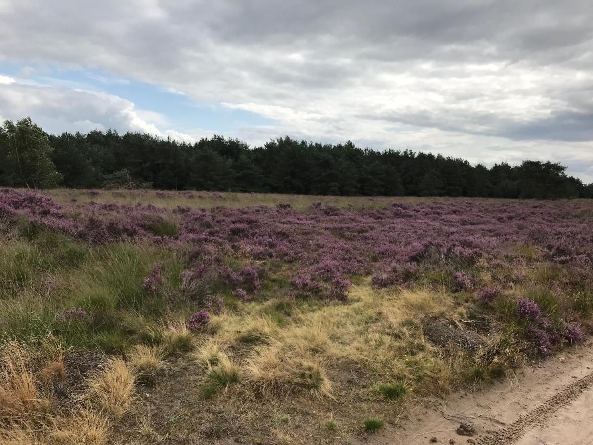 Hoeve Den Anholt Villa Ruinen Bagian luar foto
