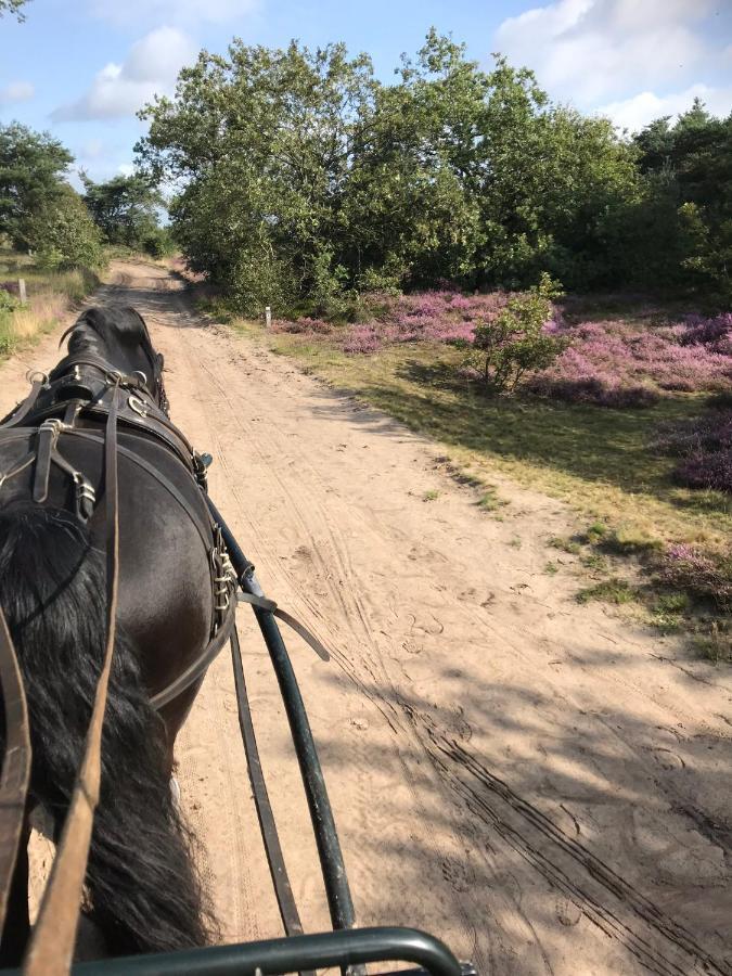 Hoeve Den Anholt Villa Ruinen Bagian luar foto