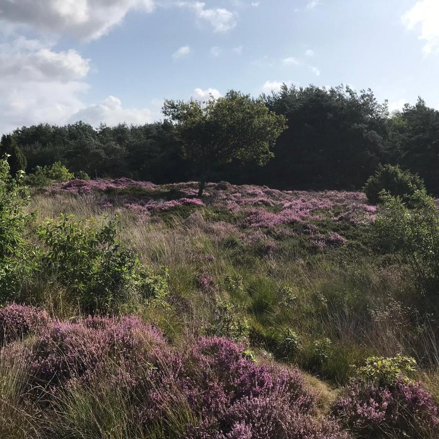 Hoeve Den Anholt Villa Ruinen Bagian luar foto