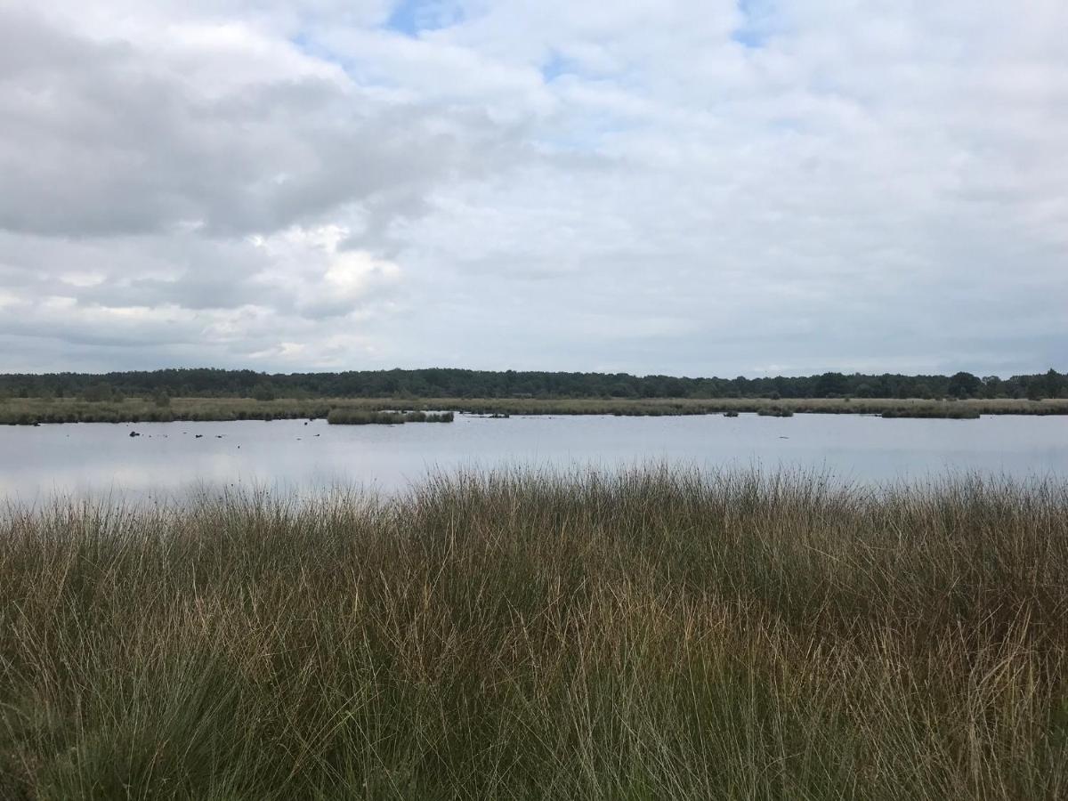 Hoeve Den Anholt Villa Ruinen Bagian luar foto