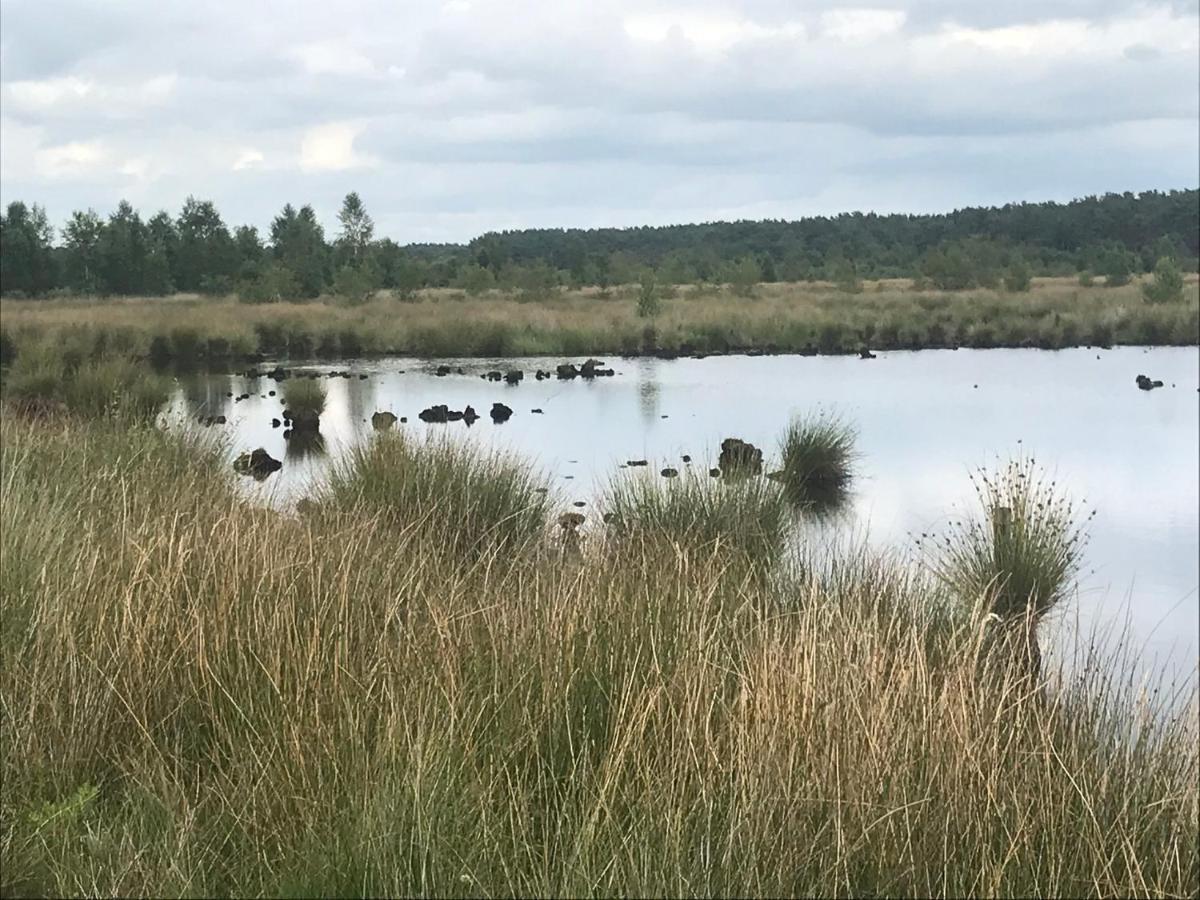 Hoeve Den Anholt Villa Ruinen Bagian luar foto
