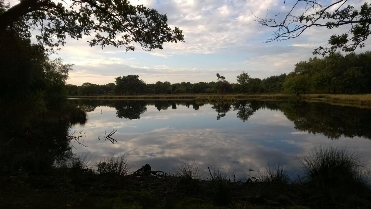 Hoeve Den Anholt Villa Ruinen Bagian luar foto